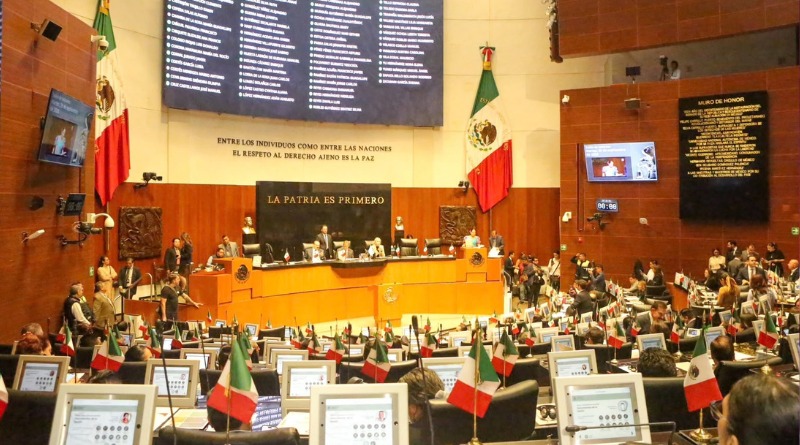 SENADO APRUEBA PADRÓN DE MALTRATADORES IMPULSADO POR RUTH GONZÁLEZ