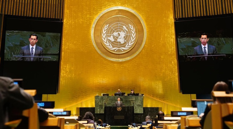 PRESUME CANCILLER ESTRATEGIA EN ONU