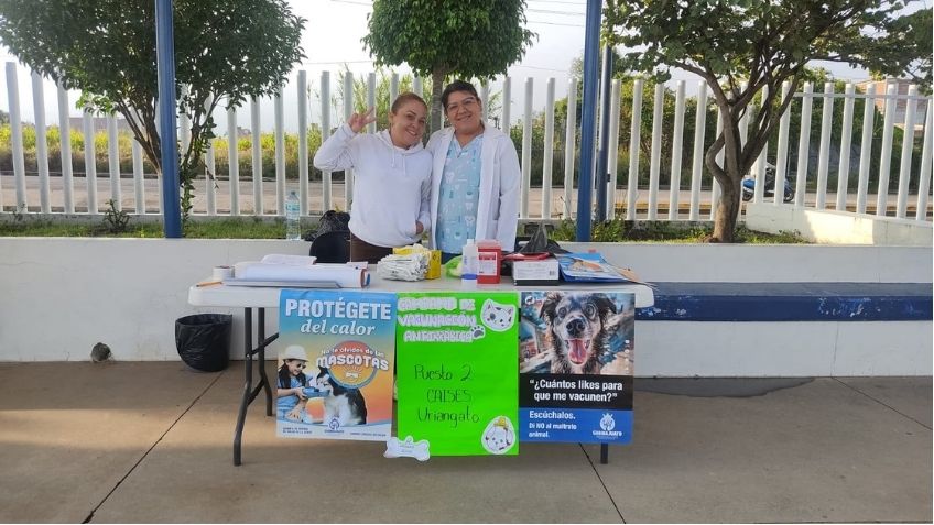 APLICACIÓN MÁS DE 16 MIL VACUNAS ANTIRRÁBICAS