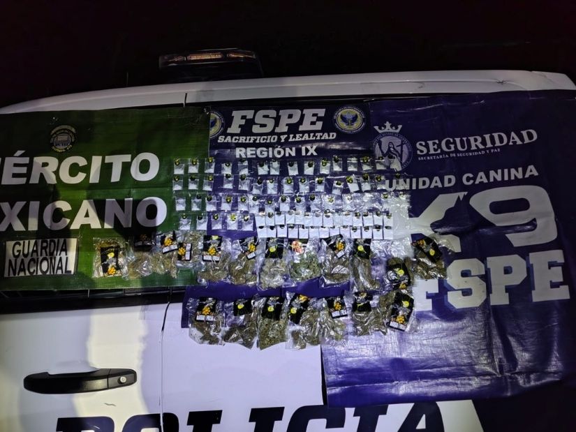 DETIENE UNIDAD K9 A UNA PERSONA