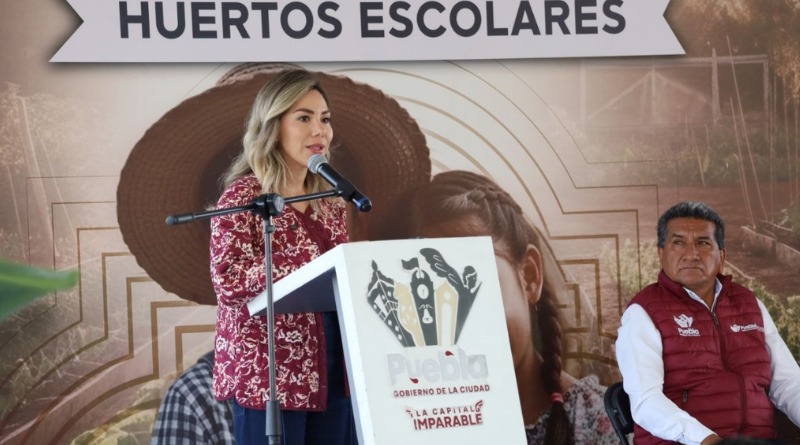 IMPULSA AYUNTAMIENTO PROGRAMA DE HUERTOS ESCOLARES