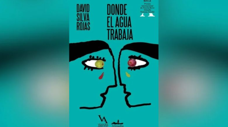 INDAGAN USO DE IA EN NOVELA PREMIADA