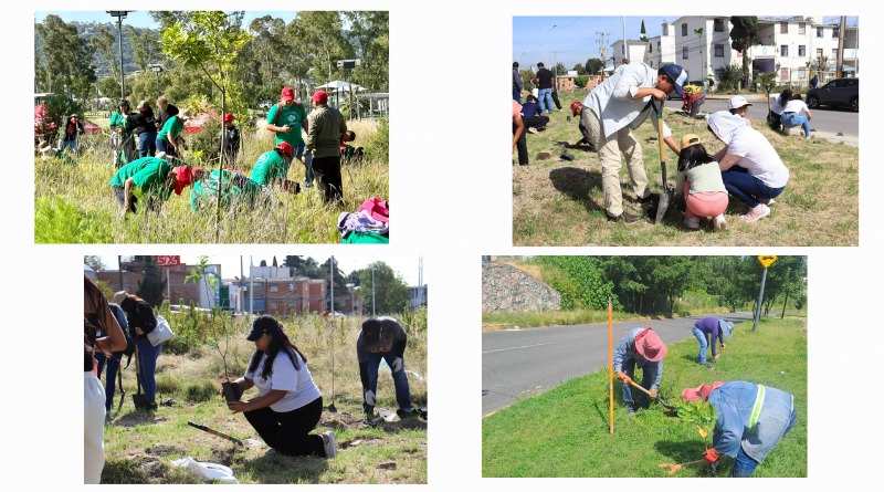 REFORESTAN 91 HECTÁREAS EN PUEBLA